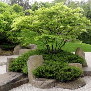 Stilisierende Gärten...