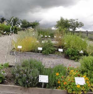 Nützliche Gärten...