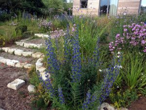 Landschaftsarchitektur