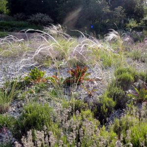 Naturalisierende Gärten...